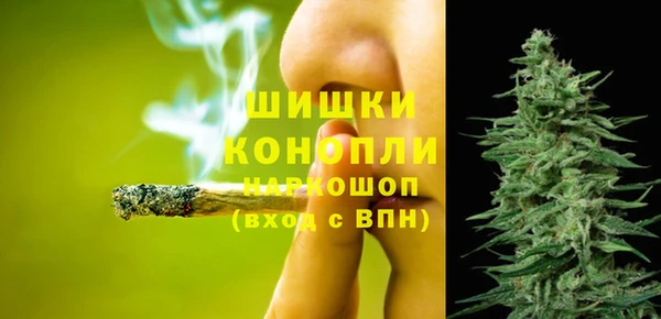 прущий лед Абаза