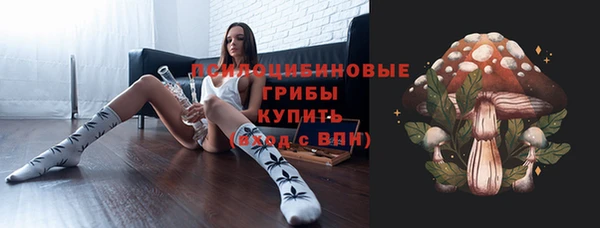 прущий лед Абаза