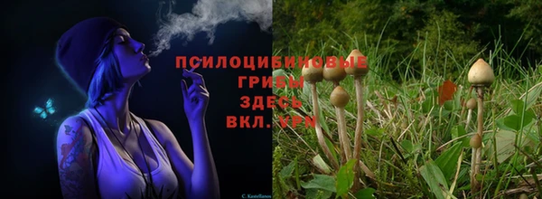 прущий лед Абаза